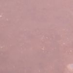 Dylan Kumar - @dilankumar594 - Instagram