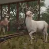Donkey kong - @dylankunkelmann - TikTok