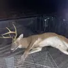 dylan_lamm05 - @dylan_lamm05 - TikTok