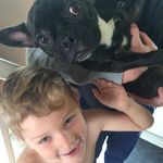Dylan Lander - @pokemon_huntergamer_ - Instagram