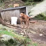 Dylan Landis - @landis5340 - Instagram