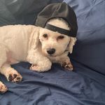 Dylan - @dylanlangdon16 - Instagram