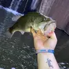 Dylan Lara - @dylan.lara15 - TikTok