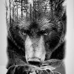 Dylan Larocque - Facebook