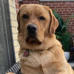 Dylan Latour - @dylan_in_nyc - Instagram