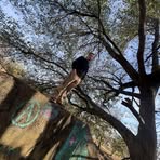 Dylan Laster - Facebook