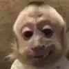 Dylan_Leblanc - @dylan_leblanc2 - TikTok
