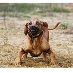 Dylan Ledbetter - @dylan_ledbetter17 - Instagram