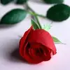 Dylan_Legendre - @usergc1uz6pwdb - TikTok