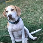 Dylan Leggett - @dylan_leggett23 - Instagram