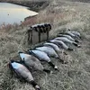 user280740 - @dylan_oehrke - TikTok