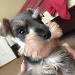 Dylan LeMaster - Facebook
