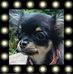 Dylan Lenox - Facebook