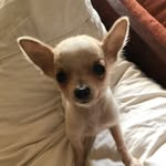 Dylan Lenze - @dylanrlenze - Instagram