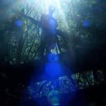 Dylan Lerner - @dyllerner - Instagram