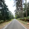 dylan_levey👹🥬 - @dylan_levey1 - TikTok