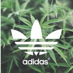 Dylan Levinson - @dylanlevinson14 - Instagram