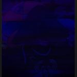 dylan levinson 🤟🏻 - @dyllevinson - Instagram