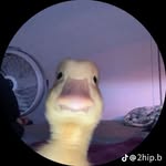 Dylan Leyva - @dylanleyva20 - Instagram