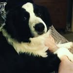 Dyan Lick - @dylan.lick - Instagram