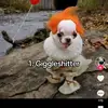 Dylan Lind - @dylan.lind - TikTok