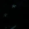 Dylan lindner - @dylan.lindner - TikTok