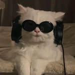 Dylan Ling - @diren.in.silence - Instagram