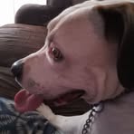 Dylan Linke - Facebook