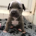 Dylan Locke - @__dylanlocke___ - Instagram