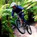 Dylan Locke - Facebook