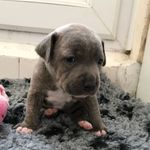 Dylan Locke - @locke_dylan - Instagram