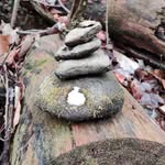 Dylan Loomis - @dylan.loomisss - Instagram