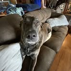 Dylan Loomis - Facebook