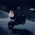 Dylan Kade Lowman💸🚀💯 - @d_lowmann - Instagram