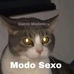 Dylan DE Jesús Arzate Lozano - @dylan_de_jesus - Instagram