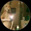 Dylan lujan - @dylan_lujan.11 - TikTok