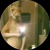 Dylan Lujan - @dylan.lujan88 - TikTok