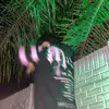 dylan lujan - @dylanlujan07 - TikTok