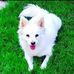 Dylan Luke - Facebook