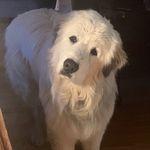 Dylan Lunsford - @landenkail - Instagram