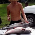 Dylan Lyman - @cat.fishslayer - Instagram