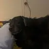 dylan lynch - @dylan.lynch8 - TikTok