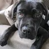 Dylan Macey - @o.p.gamer123 - TikTok