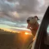 Dylan Mackay - @dylan.mackay22 - TikTok