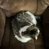 Dylanmagnuson - @d.ylan0916 - TikTok