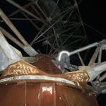 dylan maher - @dmaher32 - Instagram