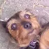 Dylan - @dylanmakowskiii - TikTok