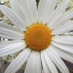 Dylan - @makowskidylan1 - Instagram