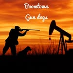 Dylan mandrell - @boomtowngundogs - Instagram