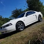 Dylan Manis - @dylan_manis - Instagram